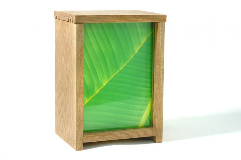 misuki-fotolampe-sutsche-blatt