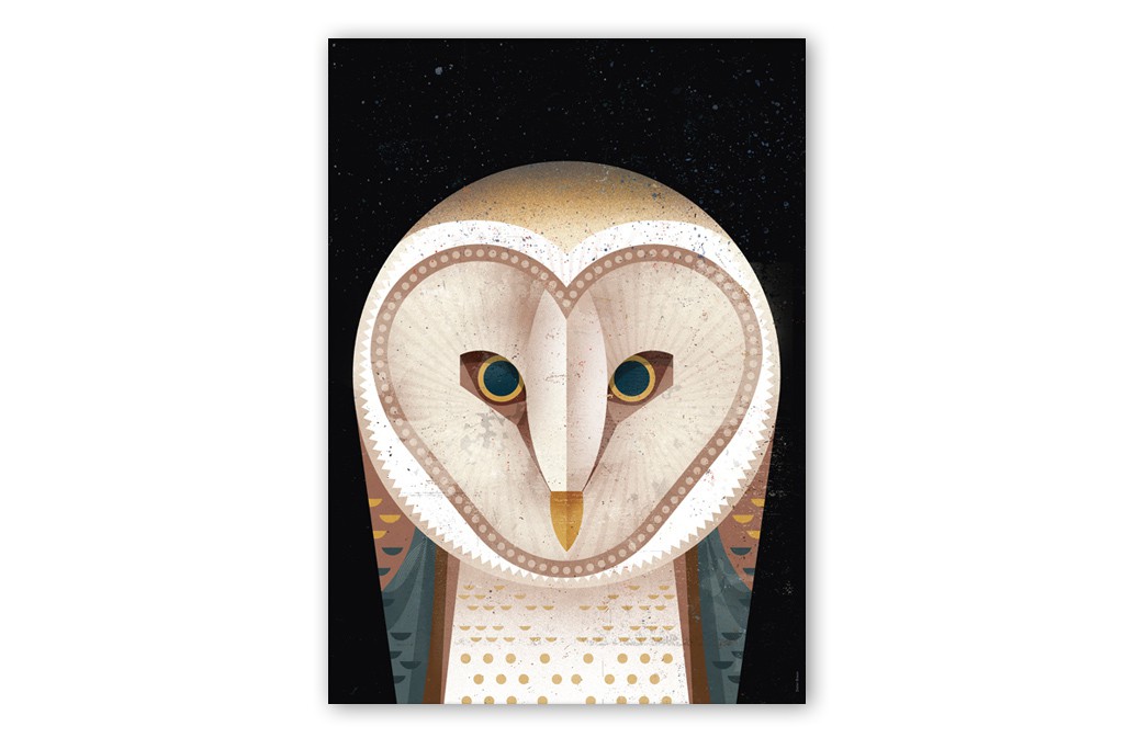 dieter-braun-barn-owl