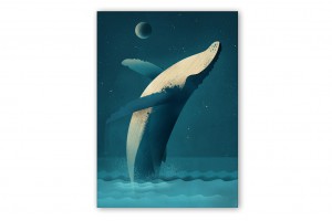 dieter-braun-humpback-whale