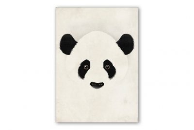 dieter-braun-giant-panda