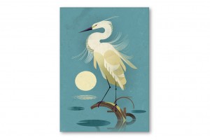 dieter-braun-little-egret