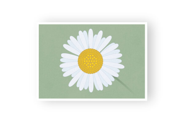 misuki postkarte daisy