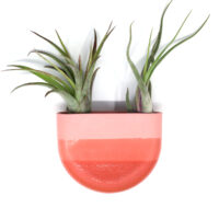 Halbrunde Wandvase | rot