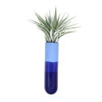 Längliche Wandvase | königsblau