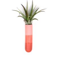 Längliche Wandvase | rot