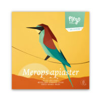 Plego Bienenfresser / Merops apiaster
