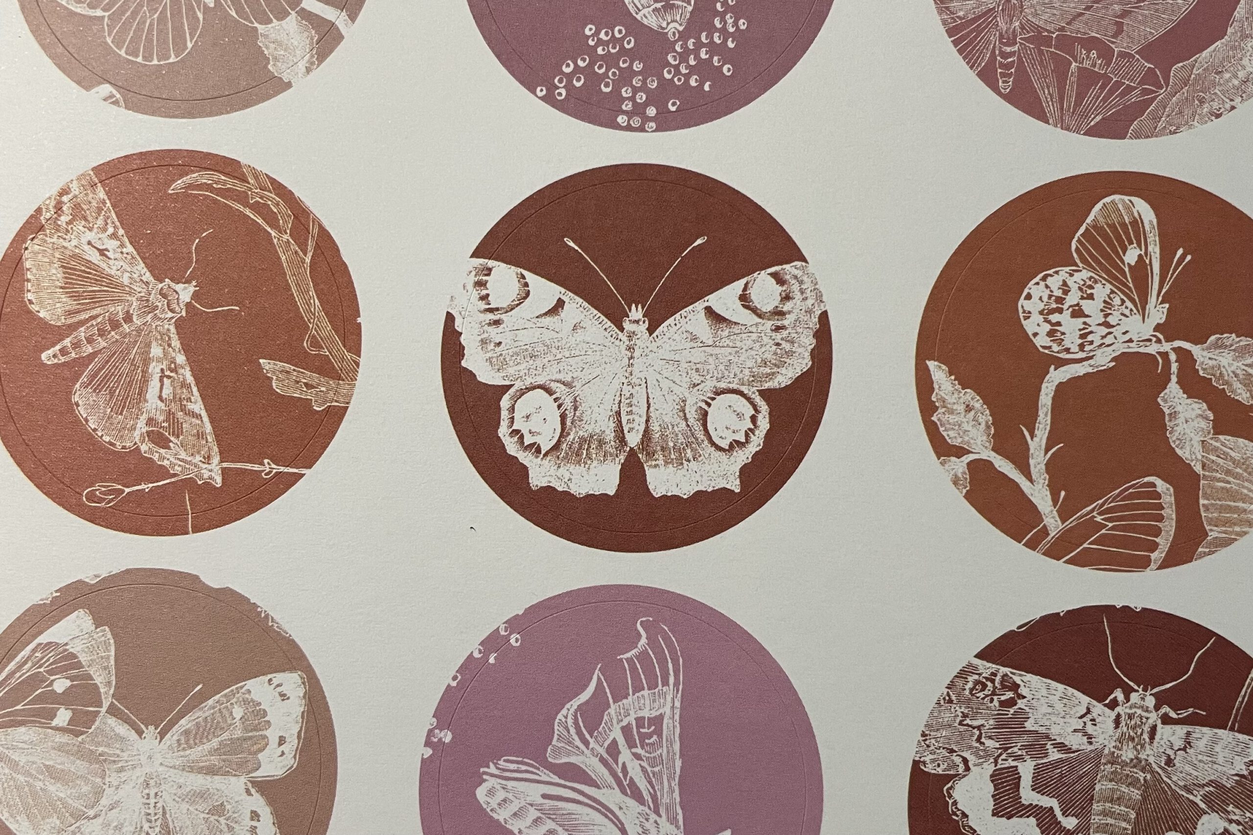 Pepin Press Stickerbuch Butterflies | Pepin press – Bild 4