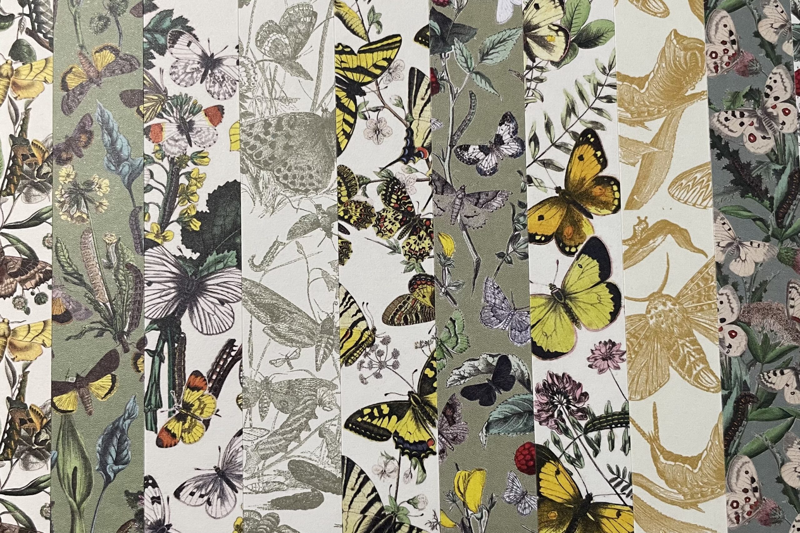 Pepin Press Stickerbuch Butterflies | Pepin press – Bild 2