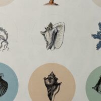 Pepin Press Stickerbuch Natural History | Pepin press – Bild 3
