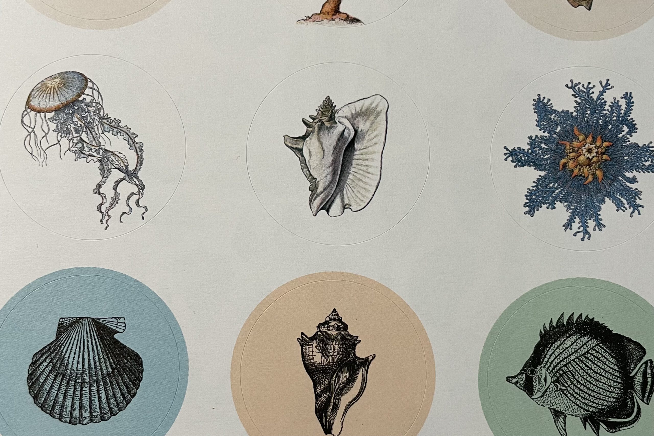 Pepin Press Stickerbuch Natural History | Pepin press – Bild 3