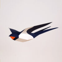 Plego Schwalbe /Hirundo rustica – Bild 3