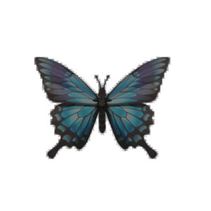 Assembli »Blauer Bergschmetterling«