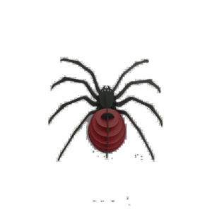 Assembli »Spinne«