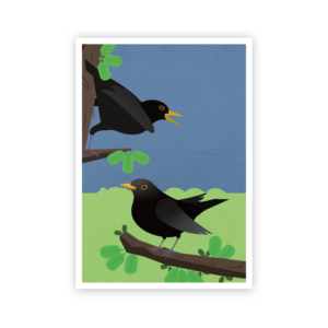 Postkarte »Amseln«