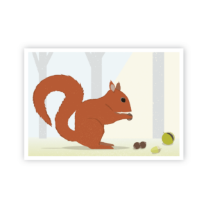 Postkarte »Eichhörnchen«