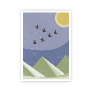 Postkarte »Gänse«