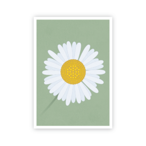 Postkarte »Gänseblümchen«