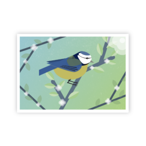 Postkarte »Meise«