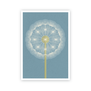 Postkarte »Pusteblume«